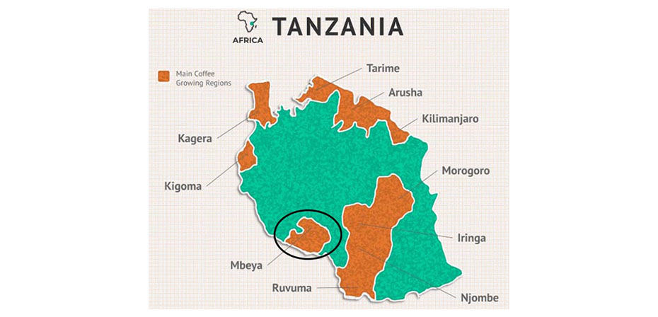 Where To Buy Tanzanian Peaberry Coffee