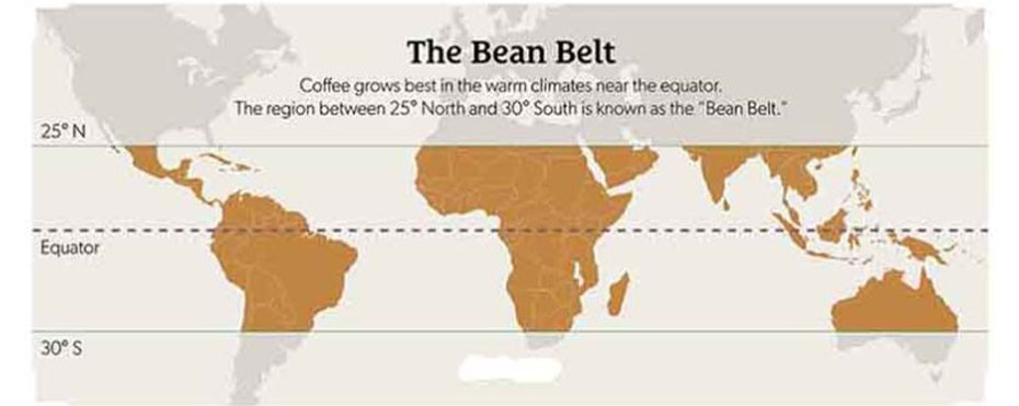 Where Is Arabica Coffee Grown