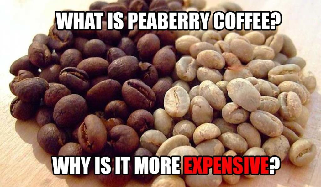 Peaberry Coffee